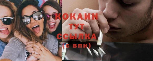 индика Белокуриха