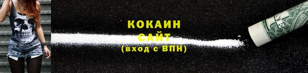 индика Белокуриха