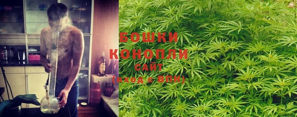 индика Белокуриха