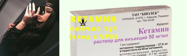 индика Белокуриха