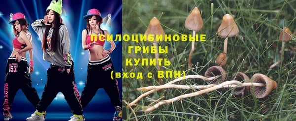 индика Белокуриха