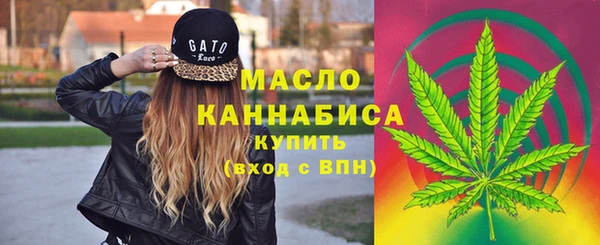 индика Белокуриха