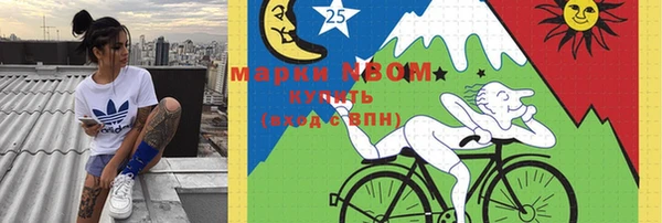 индика Белокуриха