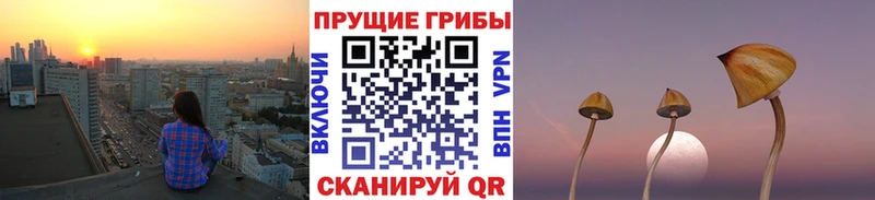 Псилоцибиновые грибы Magic Shrooms  даркнет сайт  Красный Сулин 